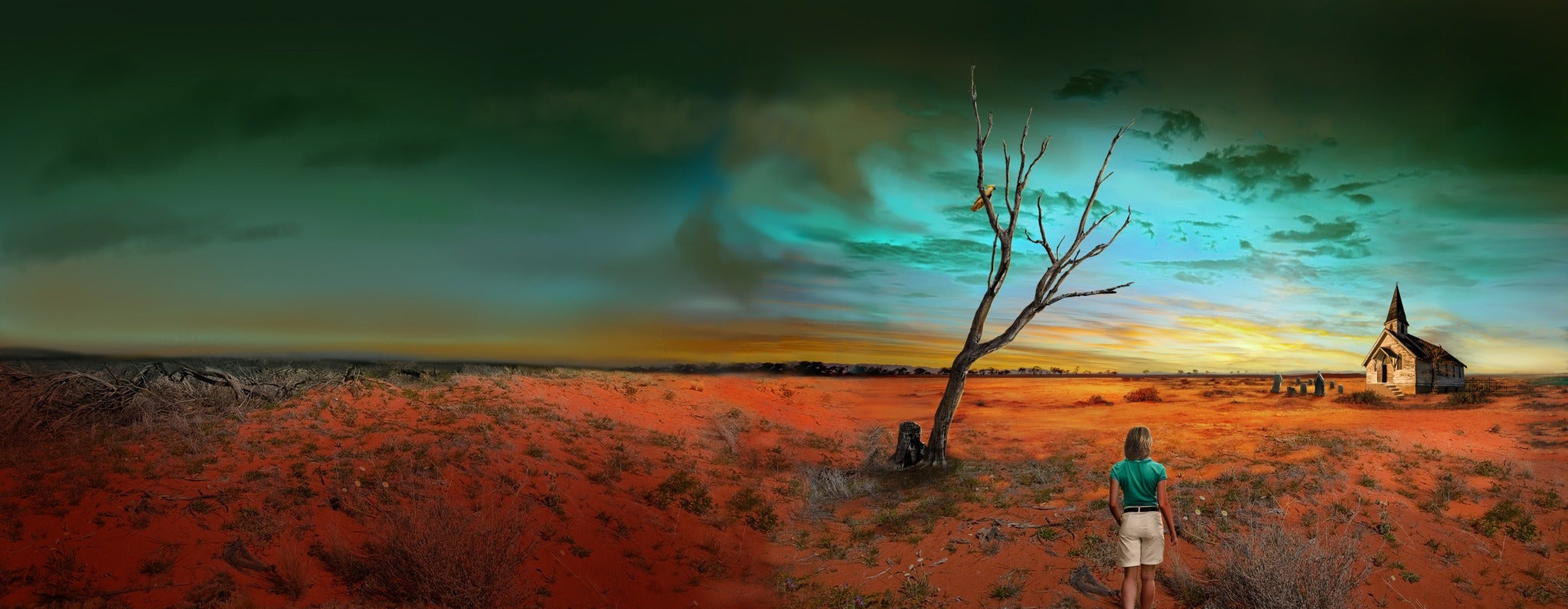 Desert landscape with a lone tree and a person standing in the foreground, under a dramatic sky.